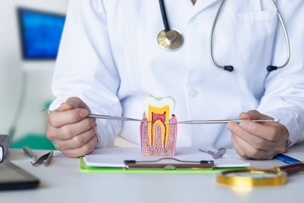 Best Emergency Treatment for Dental Infections or Abscesses in Bend, OR